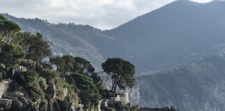 Ile kosztuje jedna guma Turbo?