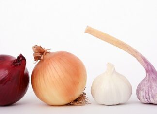 Po co cebula do grzybów?