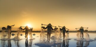 Jaka sól do wędzenia ryb?