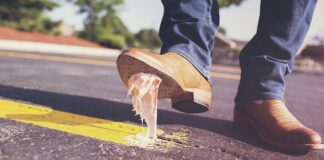 Czy można połknąć gumę do żucia?