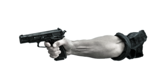 Co grozi za zabicie gołębia?