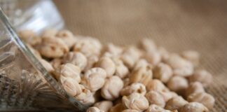 Czy ciecierzyca to groch?