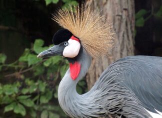 Dlaczego ciągle mam ochotę na coś słodkiego?