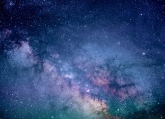 Co jest słodkie ale zdrowe?