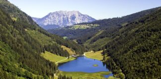 Czy pstrąga trzeba skrobać przed wędzeniem?