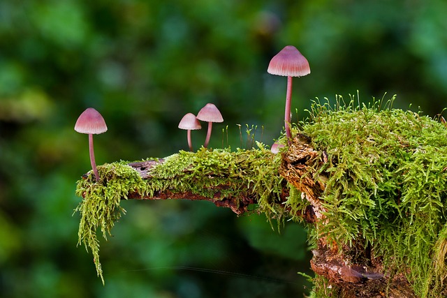 Czego nie czyścić magiczna gąbka? Czego nie czyścić magiczna gąbka?