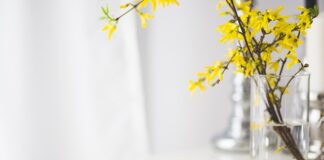 Jakie są plusy nie picia kawy?