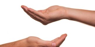 Czy pokazywać samicę przed lotem?