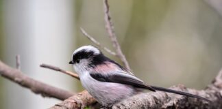 Co pić zamiast energetyka?