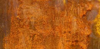 Czy w gruszkach mają żelazo?